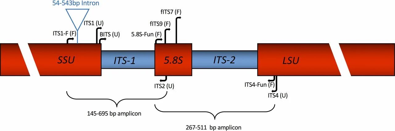 It4it framework. It4it. Методология itil. It was 4 1. It4it.