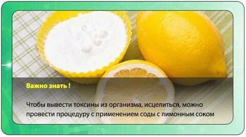 Вывести токсины травами