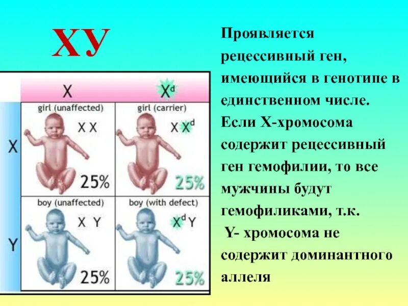 Рецессивные гены. Доминантные и рецессивные гены. Ресицивным ген. Доминантный и рецессивный ген.