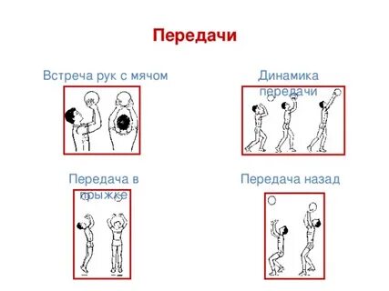Передачу назад