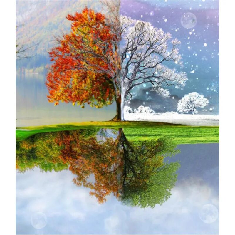 Seasons trees. Seasons trees