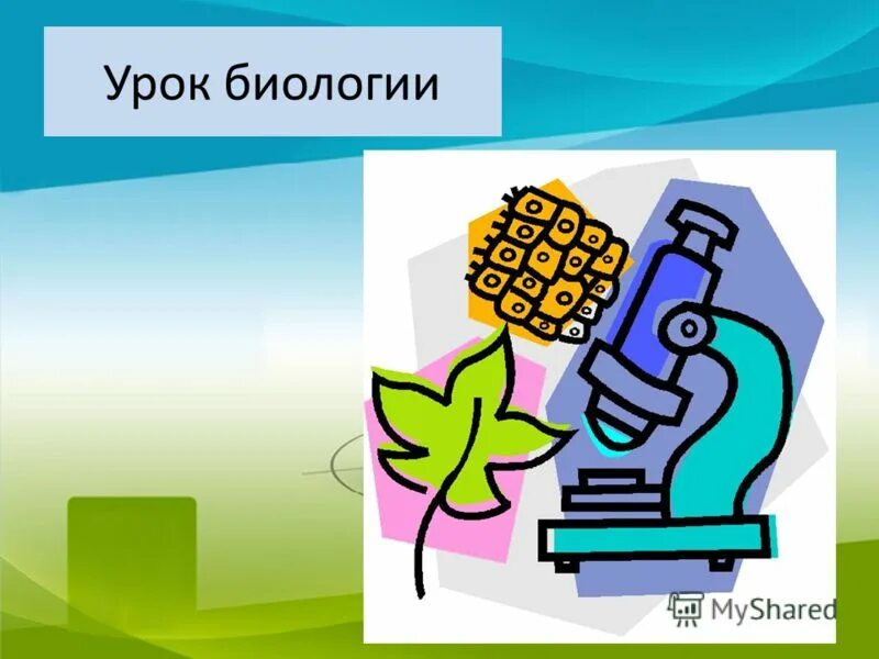 спасибо за внимание биология. презентация. темы уроков биологии. биология 5 класс 4 науки в схеме. ботаника разделы биологии.
