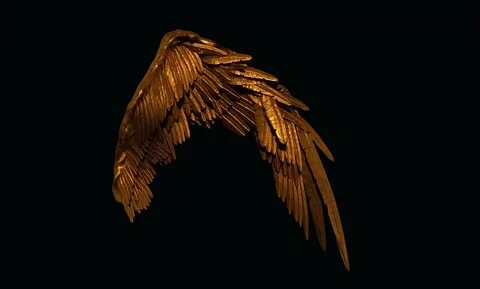 Golden wings