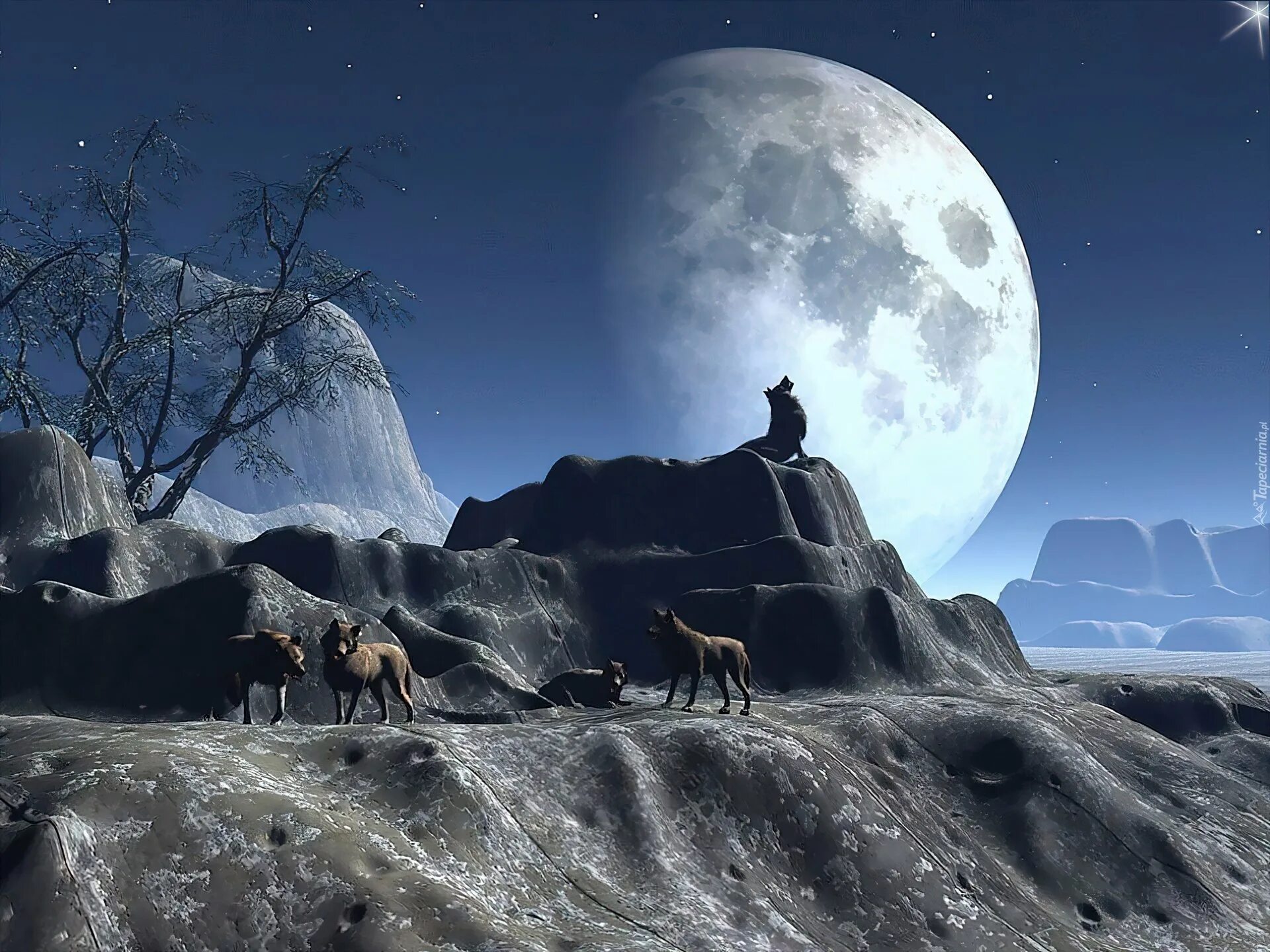 Вою под луной песня. Лунный пейзаж. Горы на Луне. Волк воет на луну. Горы под луной.