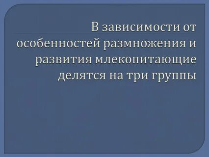 Особенности размножения и развития