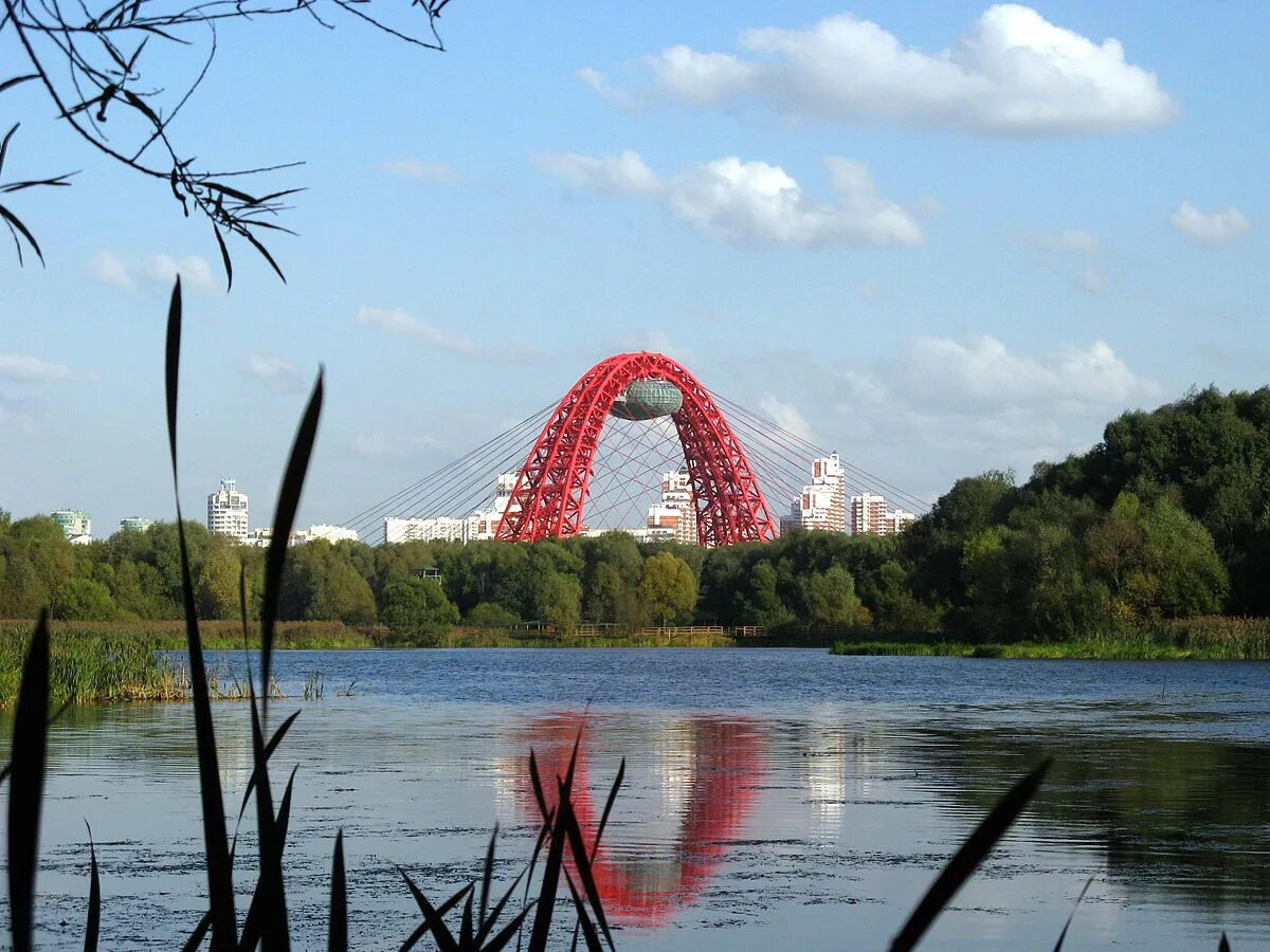 Парк серебряный Бор Москва. Памятник природы серебряный Бор. Хорошево-Мневники живописный мост. Лесопарк серебряный Бор Москва.