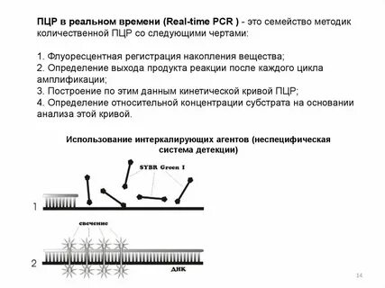 Пцр в режиме реального времени