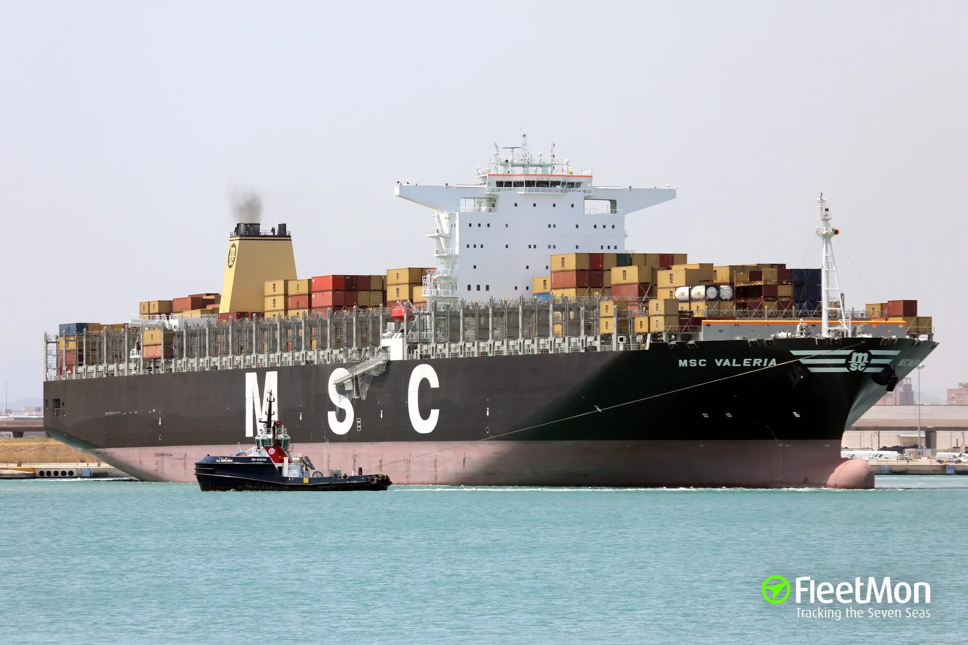 Msc tracking container. Msc tracking container отслеживание. msc shipping line. msc морская компания одежда. msc online.
