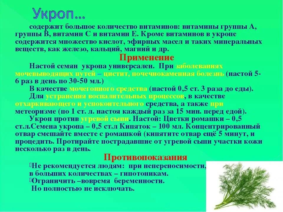 Можно пить укроп. Витамины в укропе свежем. Укропные семена от давления. Семена укропа лечебные при гипертонии. Семена укропа витамины.