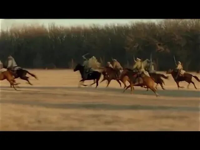 Ворон друг залетный
