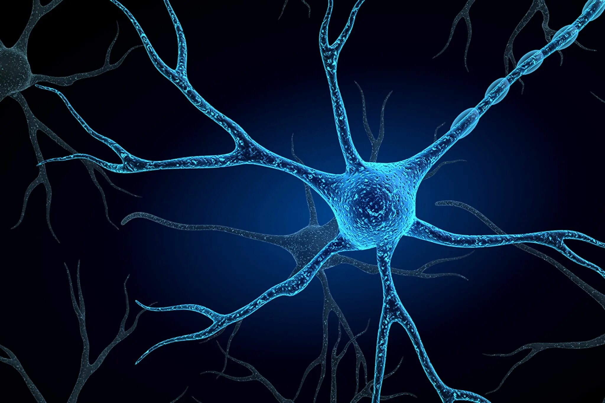 Мозг человека состоит из нейронов. Нейроны мозга. Нейроны Эстетика. Нейронная сеть мозга. Нейрон красивый.