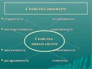Характеристика биологических систем