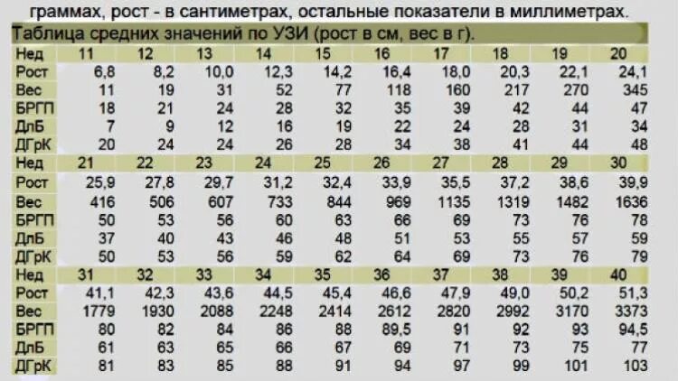 19 недель беременности размер плода. Нормы размера плода по УЗИ по неделям беременности. Таблица размеров плода по УЗИ 3 триместра. Размеры головки плода по неделям беременности таблица. Размер эмбриона по неделям беременности таблица.