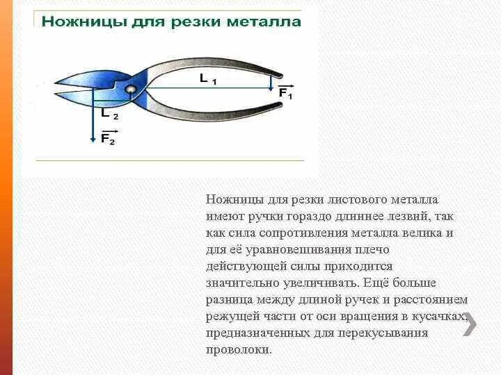 Физика рычаг в быту. Плечи ножниц. Ножницы простой механизм. Плечи ножниц. Ножницы рычаг физика.