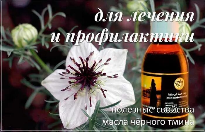 Вред черного тмина для мужчин. Чёрный тмин масло лечебные. Лекарство черный тмин. Чёрный тмин лечебные. Масло черного тмина этикетка.