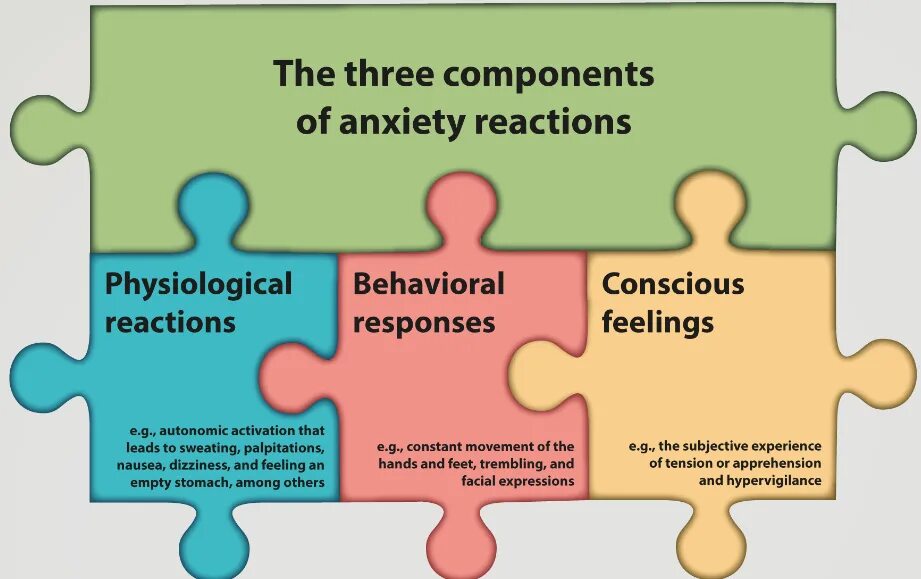 Physiological response. Physiological emotions. physiological process. physiological process in the body. physiological modeling.