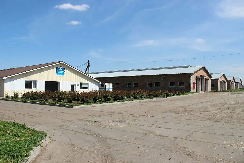 агрофирма спб.