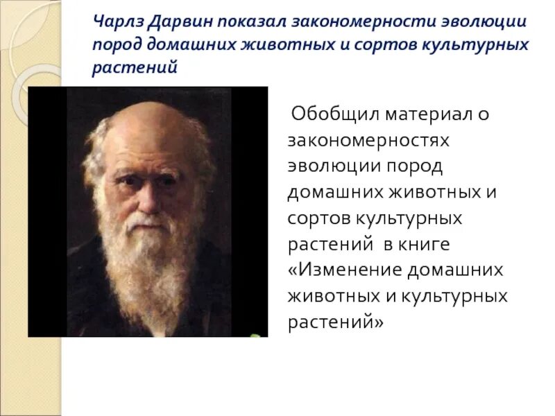 Учение Дарвина об искусственном отборе. Учение Чарльза Дарвина об искусственном отборе. Учение Дарвина об эволюции.