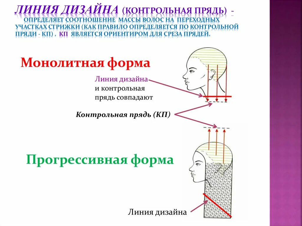 Монолитная форма. Прогрессивная форма стрижки схема. Контрольная прядь. Контрольные пряди в прогрессивной форме. Подвижная контрольная прядь.