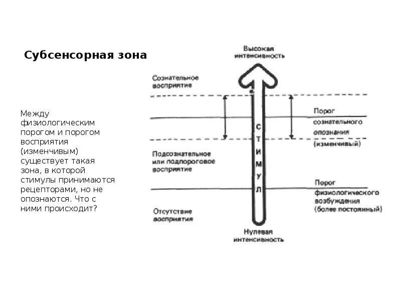 Порог психология. Пороги восприятия в психологии. Субсенсорная область. Субсенсорное восприятие. Субсенсорные ощущения это в психологии.