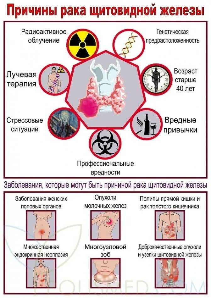 Факторы риска заболеваний щитовидной железы. Факторы риска развития заболеваний щитовидной железы. Причины возникновения онкологии. Причины заболевания онкологией. Причины появления рака