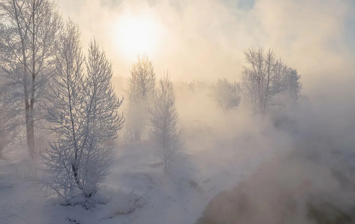 сибирские морозы в феврале картинки. куржевина – иней. морозный туман. сибирские морозы желтые. сибирские морозы фото старинное.