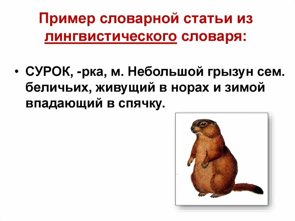 История создания словарей. Лингвистическая словарная статья. Лингвистический энциклопедический словарь книга. Лингвистические термины. Словарь лингвистических терминов.