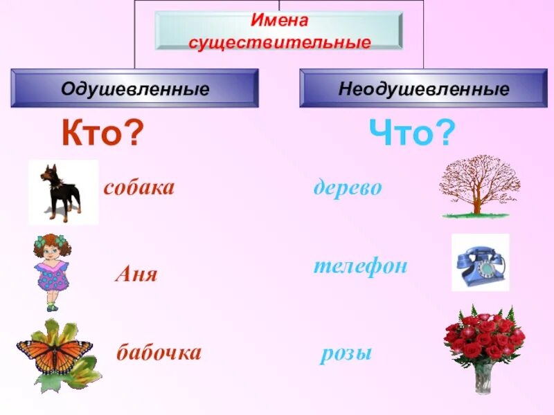 Обобщение имя существительное 5 класс презентация