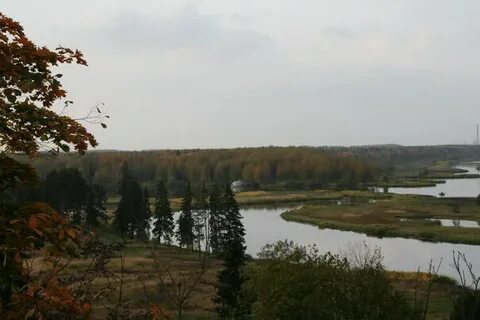 Кубань кострома