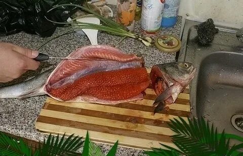 Можно коту соленую рыбу