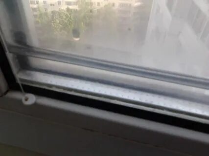 Запотевает стеклопакет между стекол что делать
