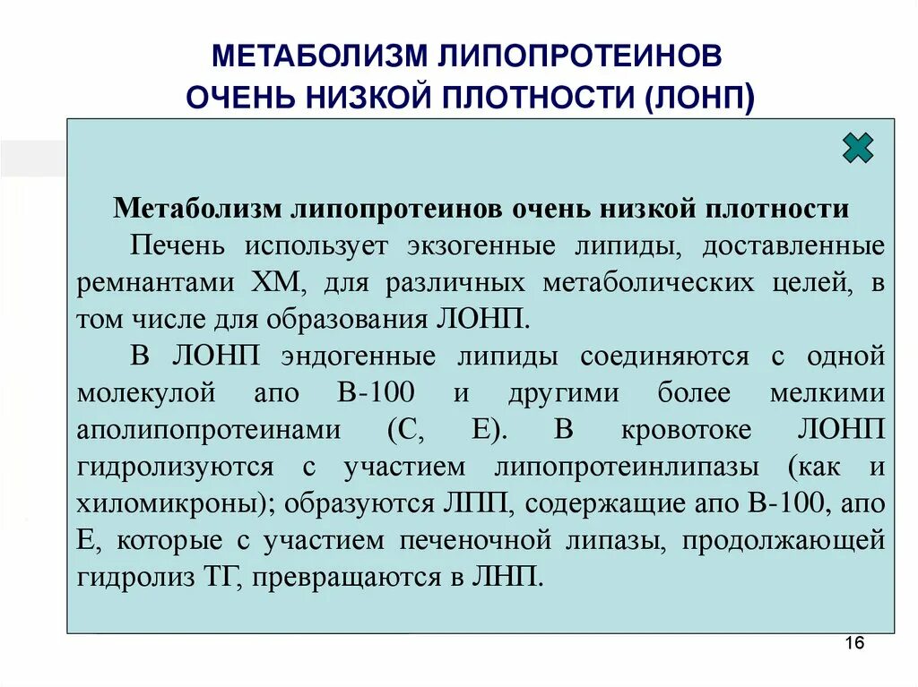 Липопротеин низкой плотности повышен у мужчин. Метаболизм липопротеинов. Схема метаболизма липопротеинов. Метаболизм липопротеинов очень низкой плотности. Метаболизм липопротеинов высокой плотности.