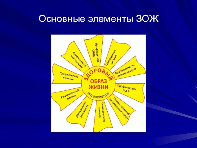 Главный элемент жизни. Элементы здорового образа жизни. Основные элементы здорового образа жизни. Основные компоненты здорового образа жизни. Основные компоненты ЗОЖ.