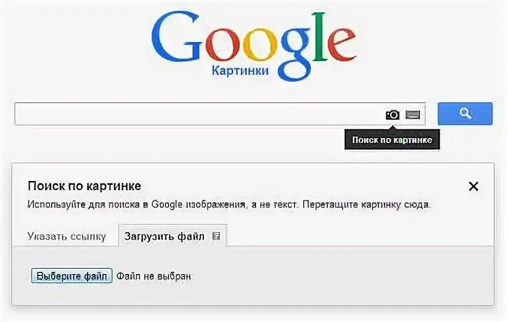 Гугл поиск по фото. Гугл картинки поиск по картинкам. Google поиск по фото. Гугл по фото поиск по картинке. Гугл поиск по фотографии человека.