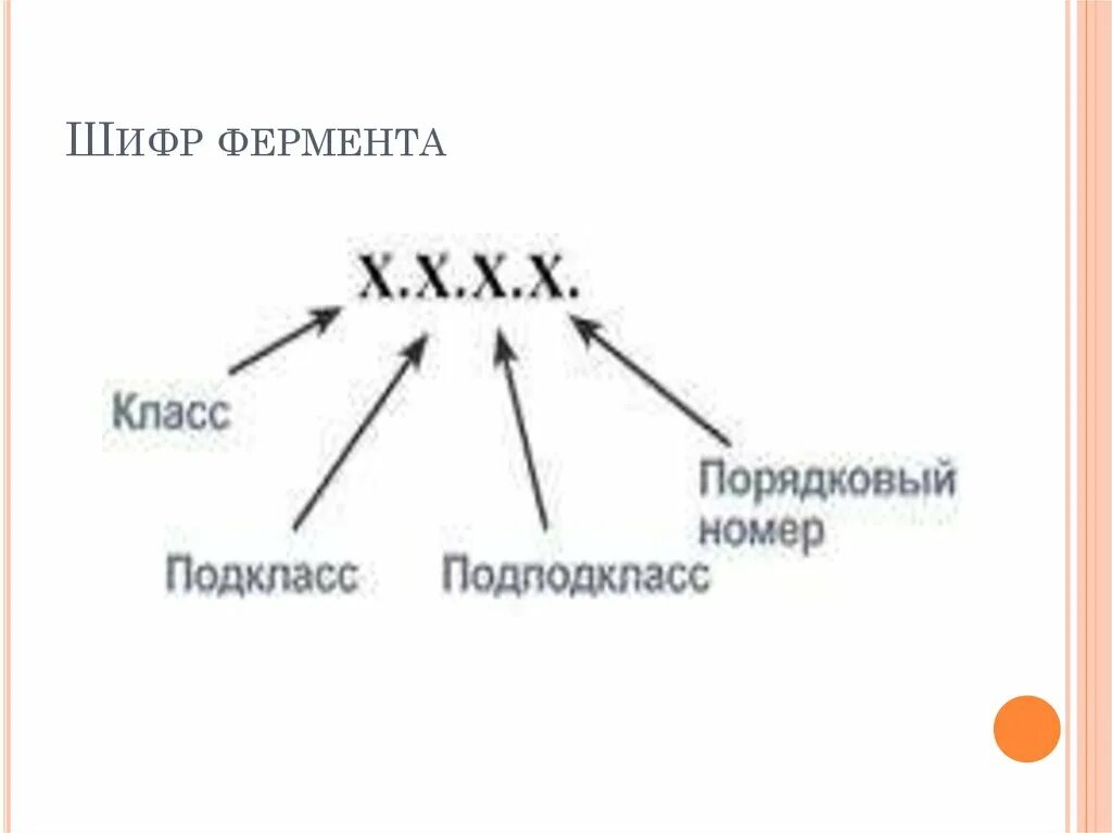 Оба фермента. Шифр ферментов. Шифры классификация ферментов. Шифр фермента пример. Шифр фермента КФ.