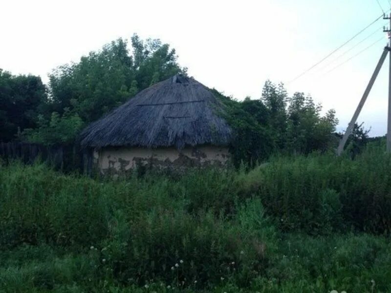 Воронежская обл бобровский р н погода. Воронежская обл. село неколоварваренка. бобровский район природа.