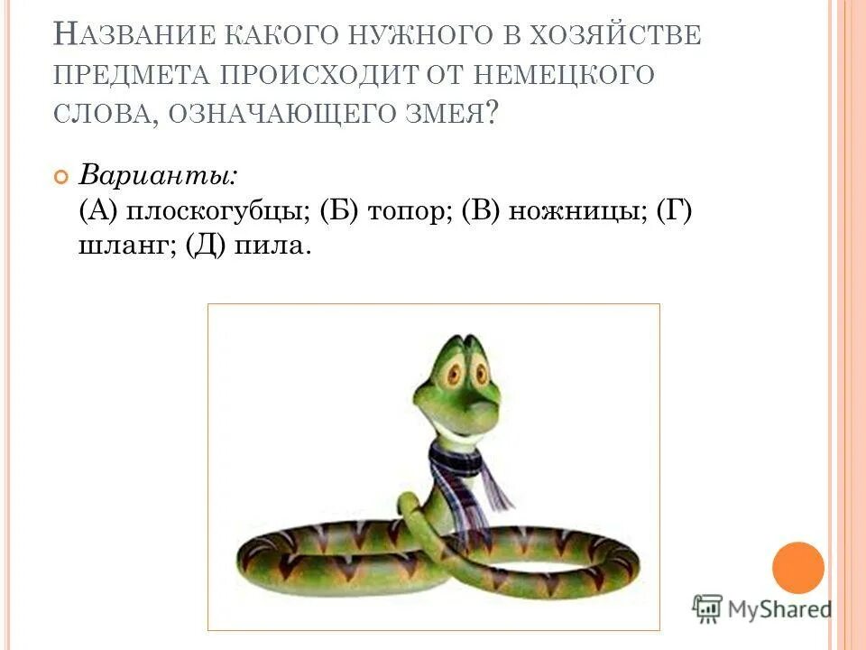красивые имена для змей. стишок о змеях для детей. змея символ чего. яд и змея пиктограмма. атласная змея книга.