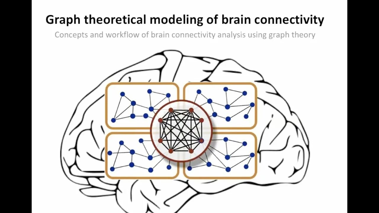 Brain theory. Brain network. нейросети. theoretical neuroscience peter dayan. chain-theoretic modeling.