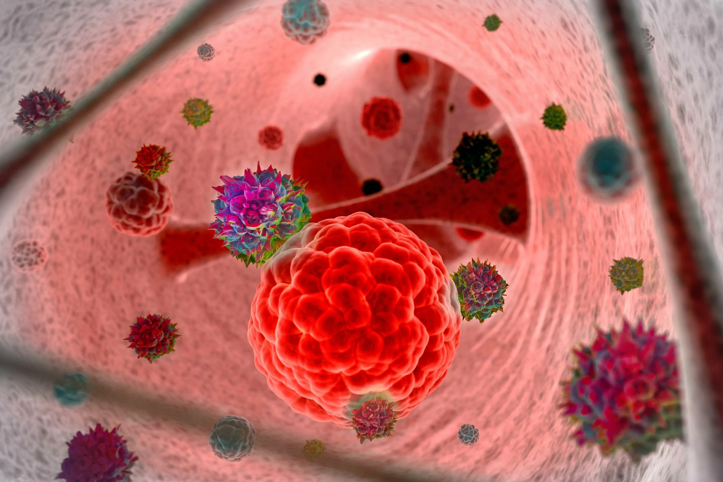 Злокачественные клетки. Питание раковой клетки