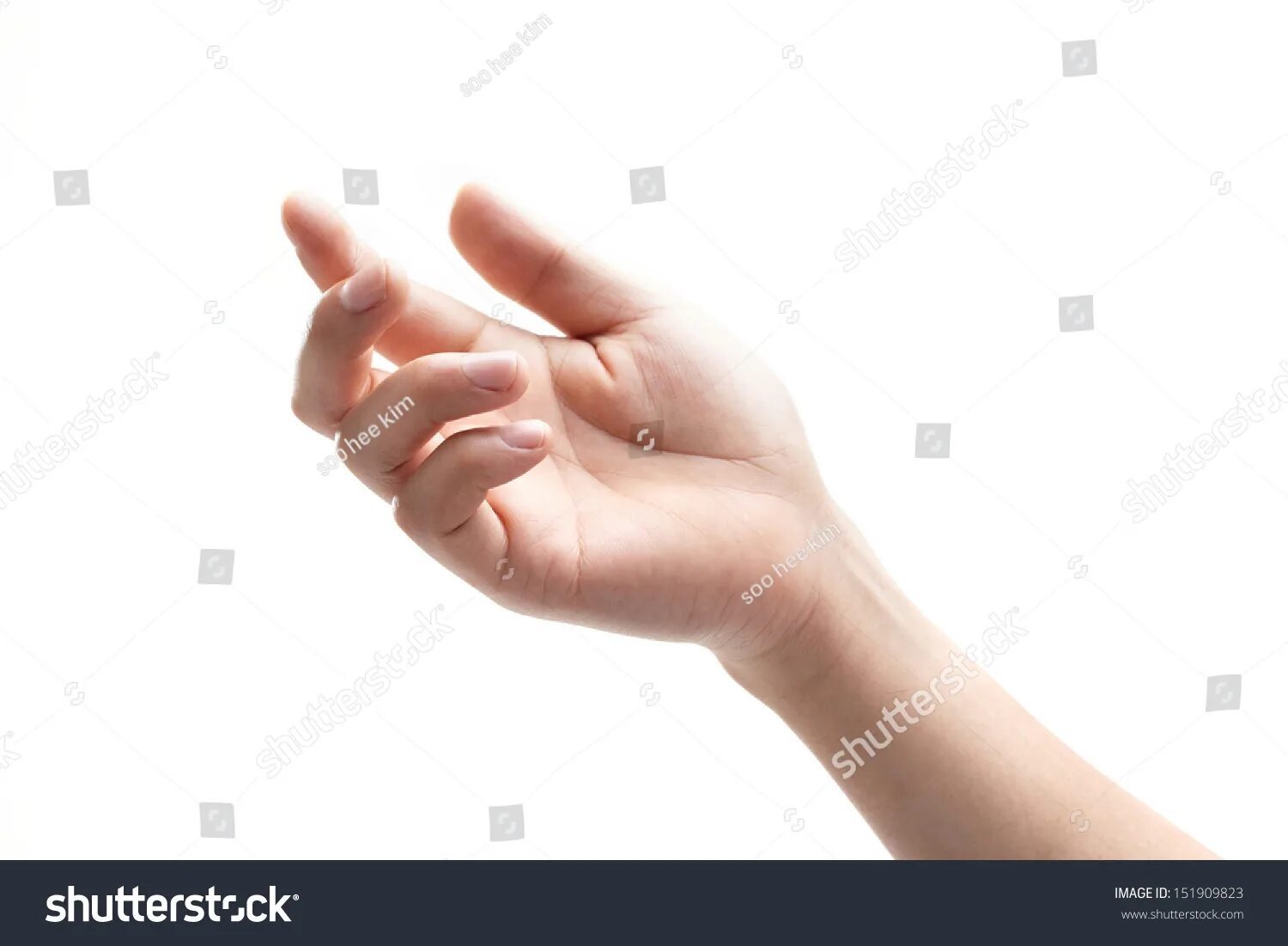 One that hand. Руки для коллажа. Empty hand. Holding something in hand. Hand catching something.
