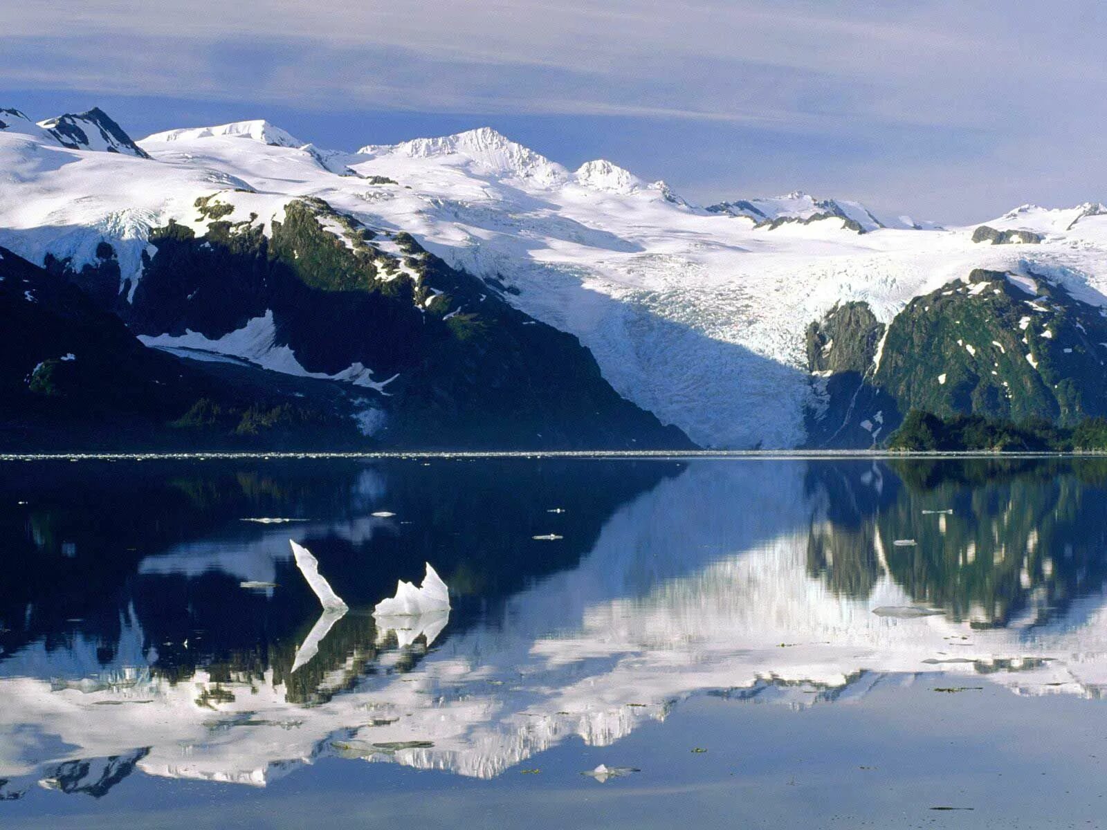Аляска 6 букв. Субарктический пояс Северной Америки Аляска. Аляска лабрадор субарктический. Штат Аляска природа. Штат Аляска зима.