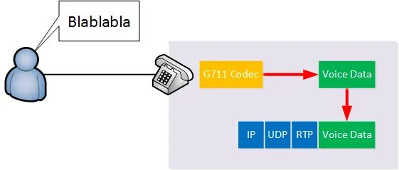 Codec data