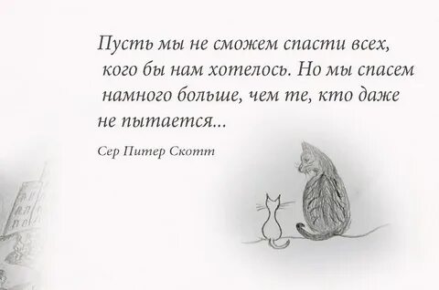 Намного больше сил