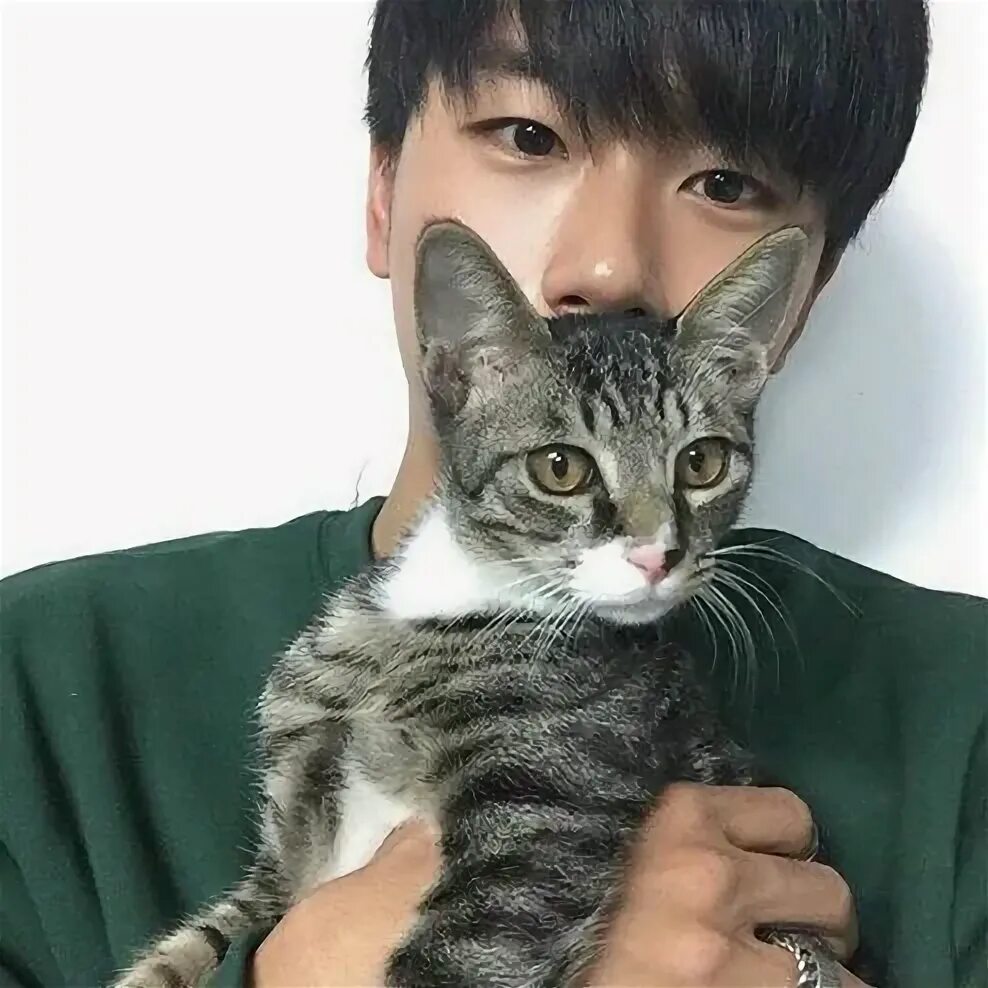 Pin on Asia with Cats