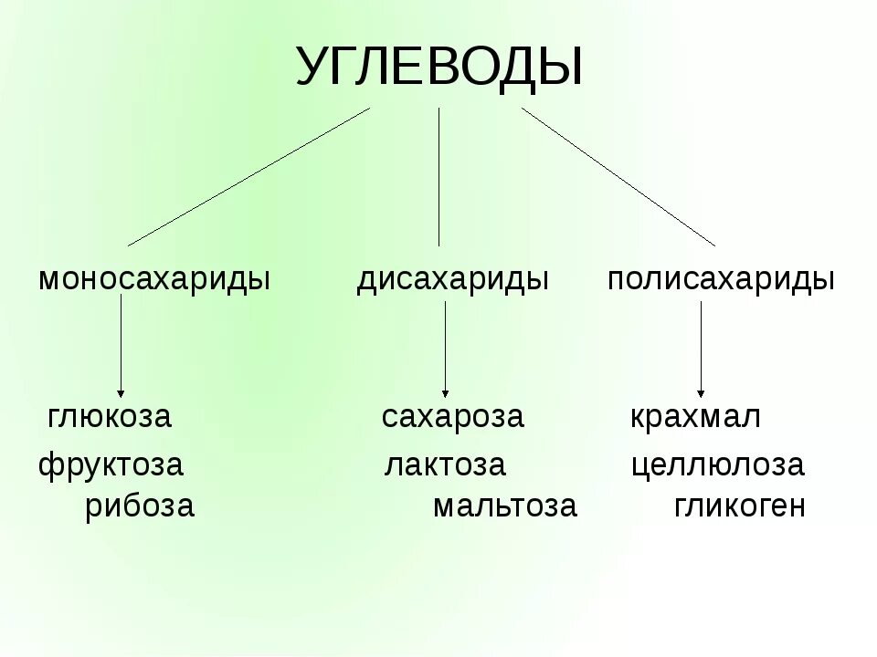 Классификация углеводов моносахариды дисахариды и полисахариды. Классификация моносахариды, олигосахариды, полисахариды. Углеводы таблица моносахариды. Углеводы моносахариды дисахариды полисахариды.