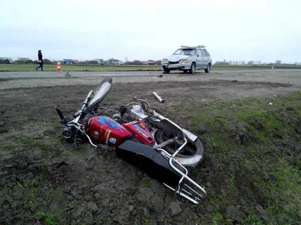 Волк рассказово происшествия