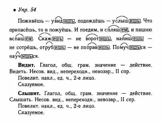 Русский язык 6 класс упр 684. Русский язык номер 54. Русский язык 6 класс домашнее задание. Русский язык 6 класс ладыженская задание 54. Русский язык 6 класс 1 часть упражнение 54.