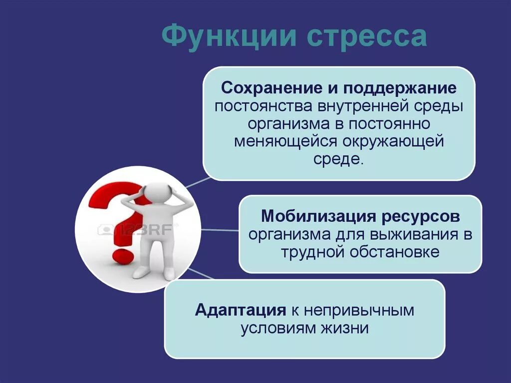 Функции стресса. Функции стресса в психологии. Функции стрессоустойчивости. Стресс и его значение. Функции тревоги