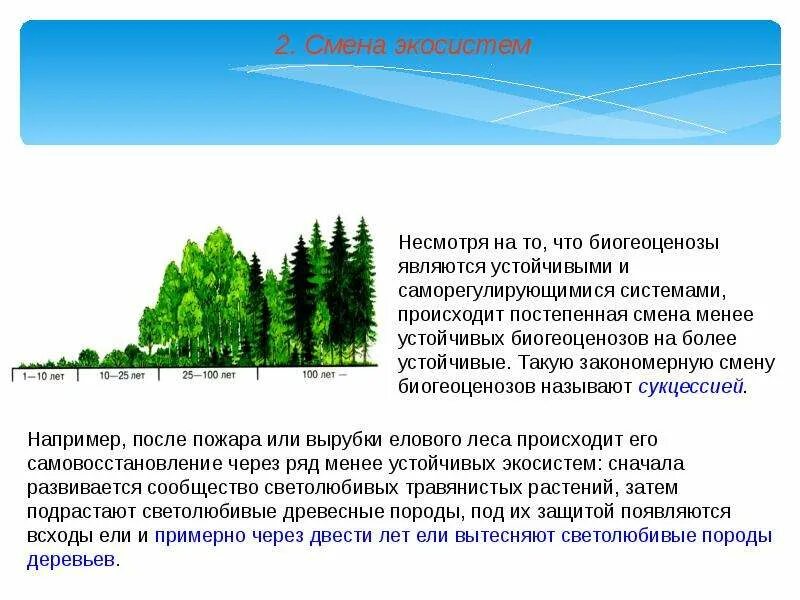 Смена экосистем. Изменение экосистемы. Смена экосистем в природе. Смена биогеоценоза. Экосистемой можно считать