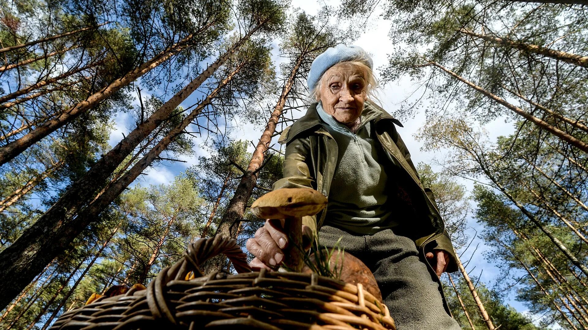 Бабушка с внуком в лесу. Бабушка в лесу. старушка в лесу. старуха в лесу. человек заблудился в лесу.